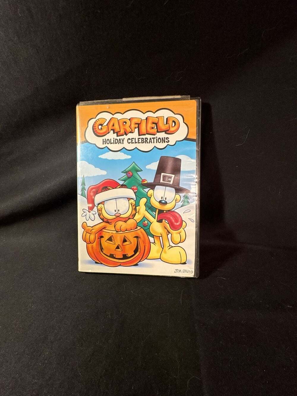 Garfield Holiday Celebrations DVD (2004)